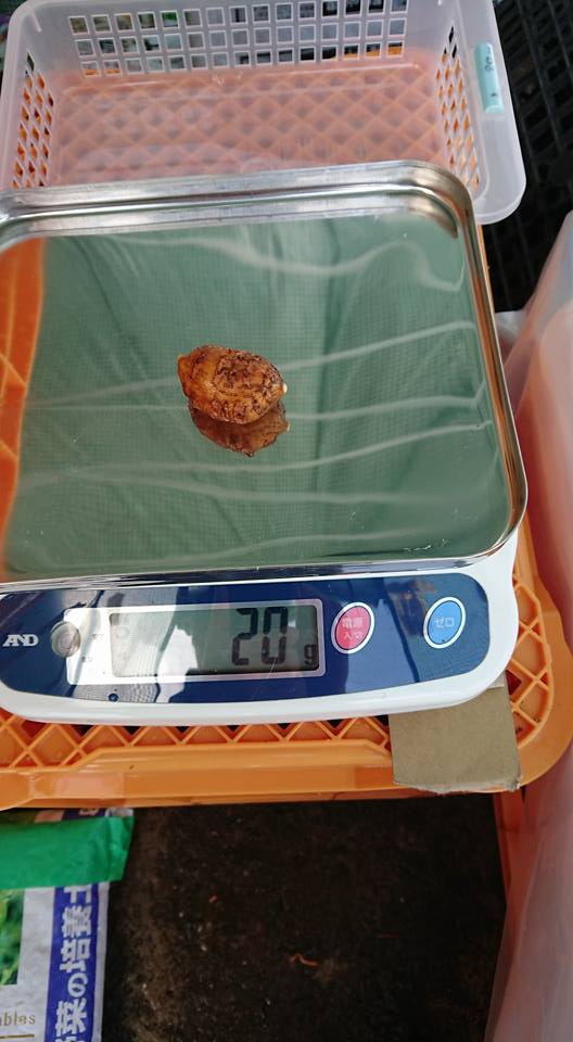 今使っているはかりは、買った時に平成27年1月に検査受けてます 2018-01-12