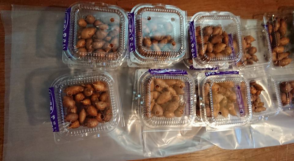 明日能登の食材のラベルを貼ってJAの出荷場所に出します 2018-01-14