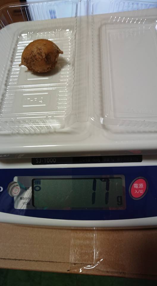 検定付きのデジタルはかりが届きました 2018-01-17