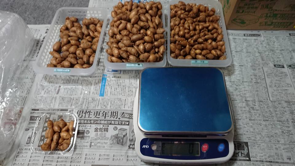 今日アピオスを出荷しました 2018-01-26