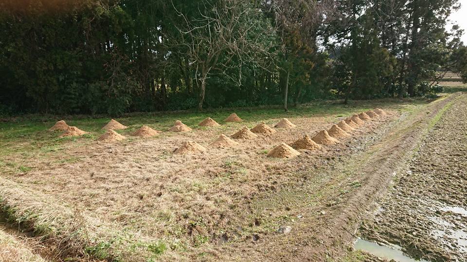 上の場所がもみがら袋55個であと10個 2018-01-19