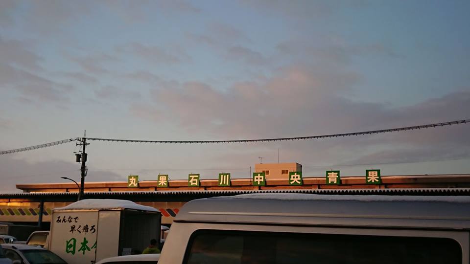 アピオスを出荷したので、金沢中央卸市場さんにあいさつに行ってました-2018-02-14