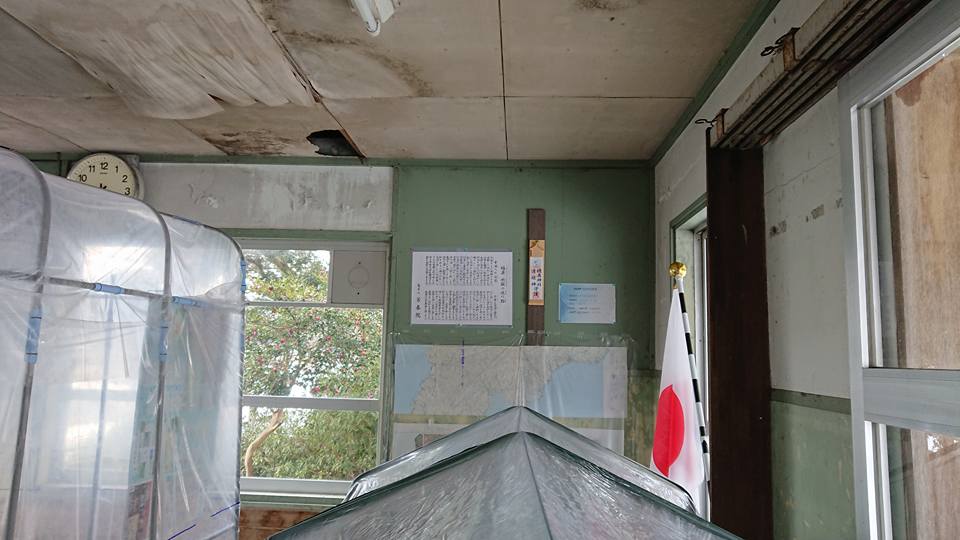 アピオスは地下茎で横に伸びる雑草には負けることがはっきり分かりました-2018-02-20