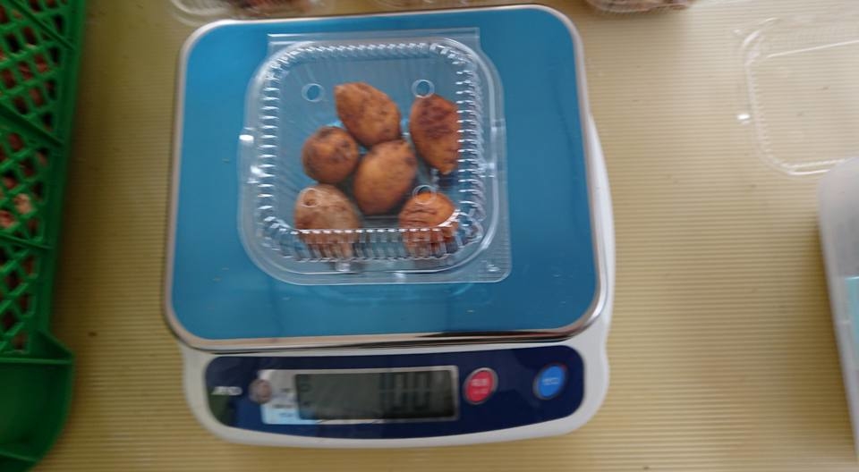 栄養分析用のアピオスのサンプルをつくば分析センターに送りました-2018-02-20