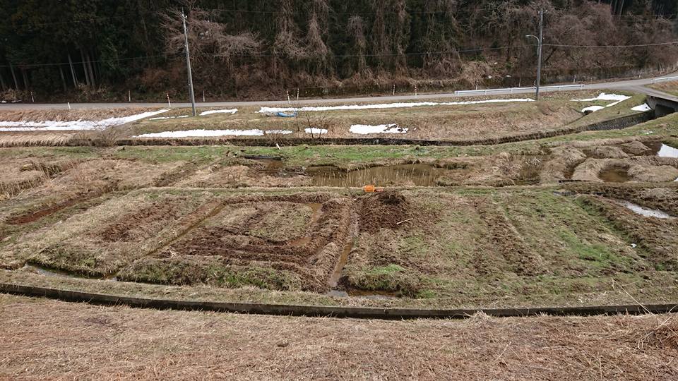 5年前に買ったアピオスの種イモは4kg(70粒かける4)と親イモ専用1kg(7個)の計5kgでした-2018-03-01