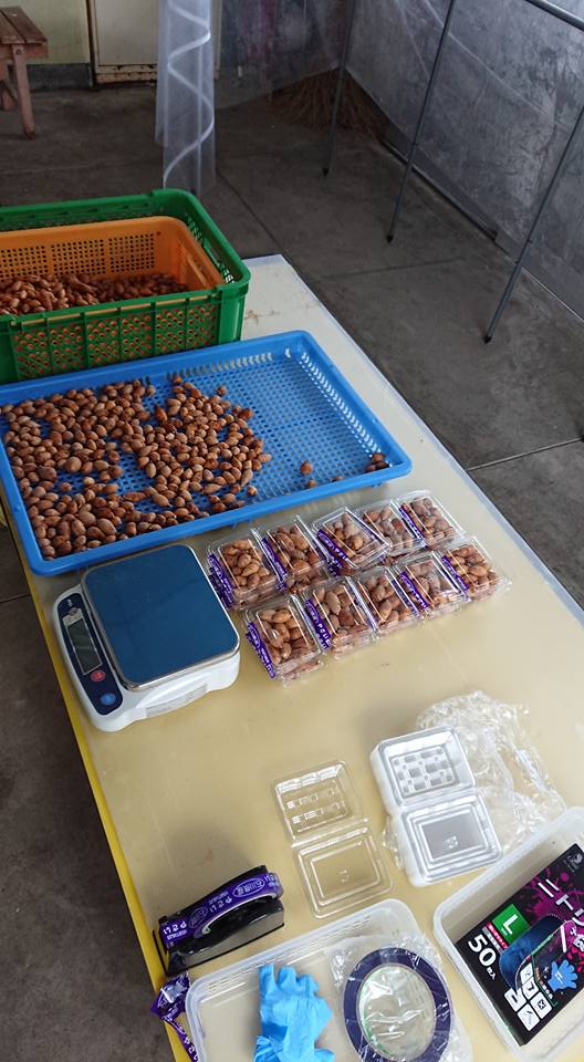 アピオスを2.5kg出荷しました-2018-03-02