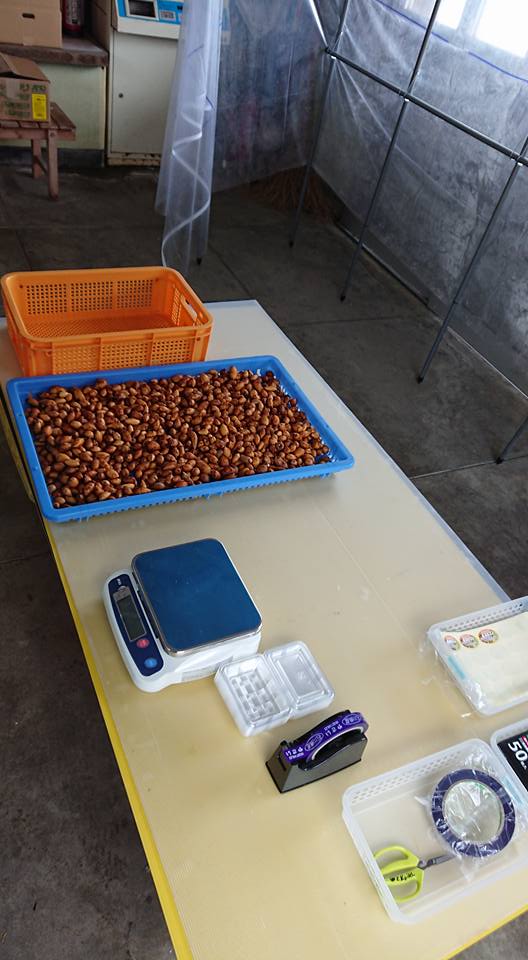 アピオスを20パック出荷しました-2018-03-09