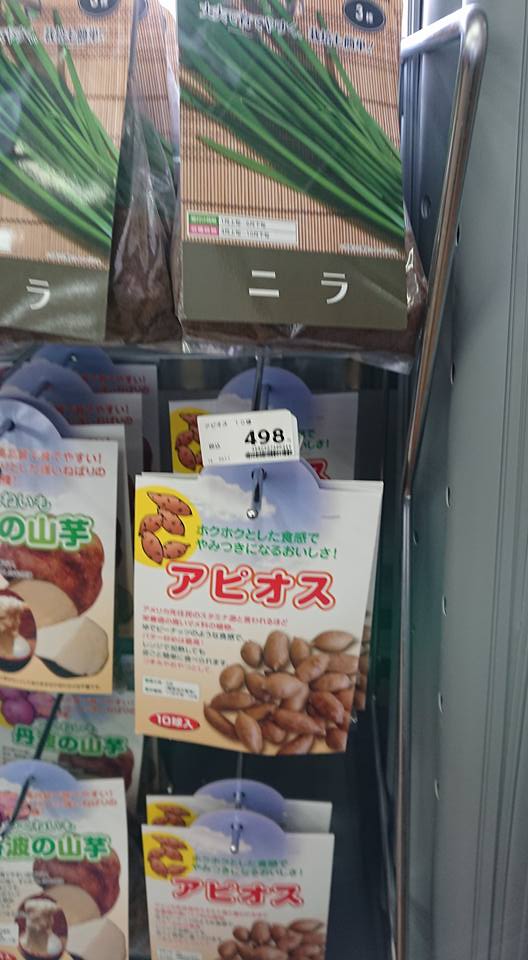 北海道ワイン能登ヴィンヤードの吉村さんをアピオスを生産しているほ場の案内をしてました-2018-03-17