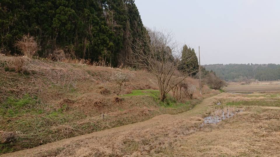 入り江地区のほ場の草刈りしてました-2018-03-29