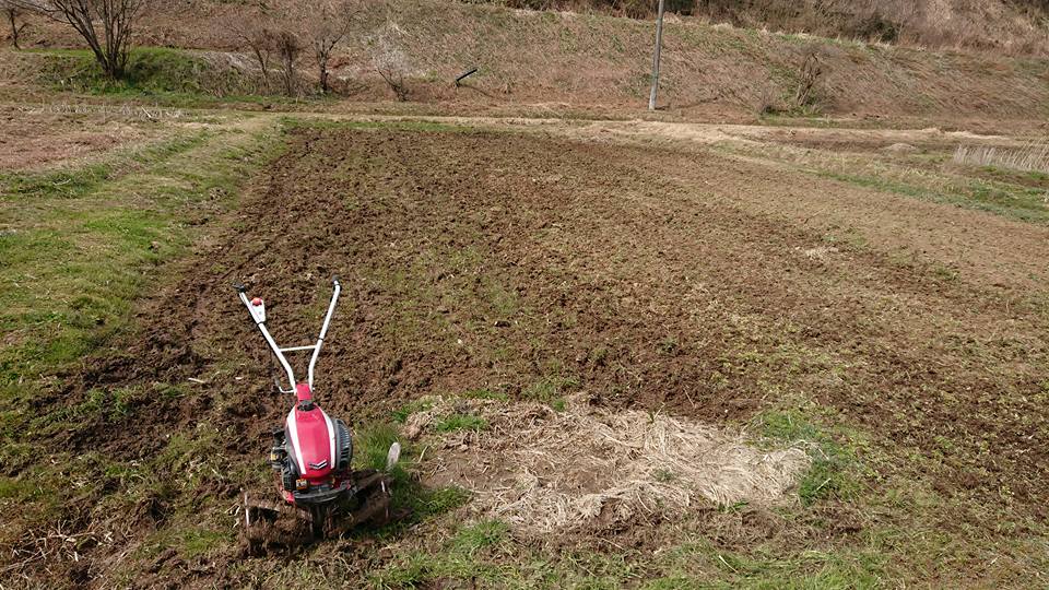 屋根に飛んだ防風ネットも片付けないと-2018-04-01