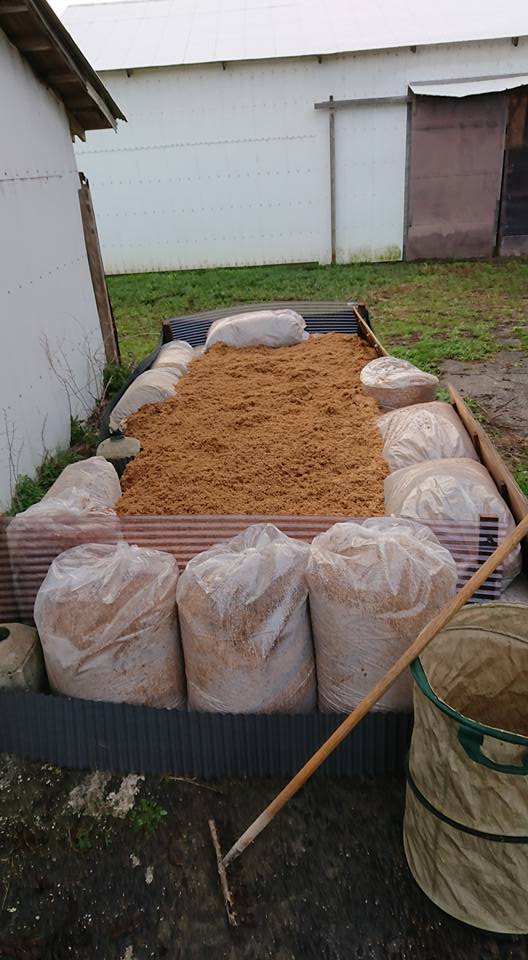 今までの経験を生かして手抜きの育苗床作りました-2018-04-07