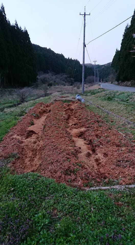 金時草を植えていた区画を片付けました-2018-04-12