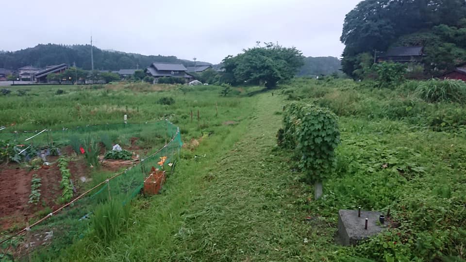 甲駅の周囲をぐるっと草刈り-2018-06-29