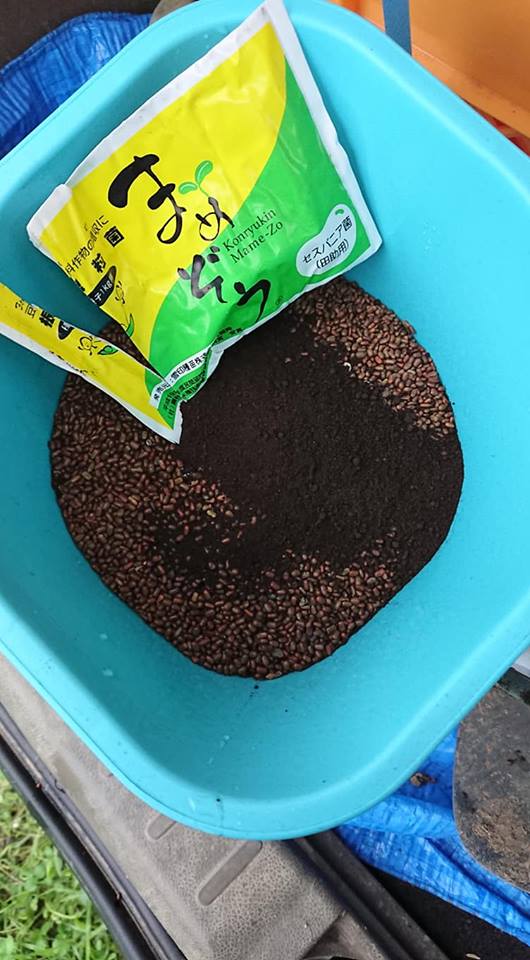 ウィンドブレイク1kgとセスバニア1kgの種まき-2018-07-03