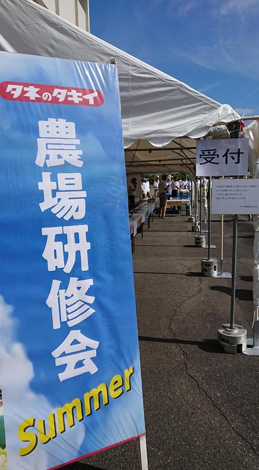 タキイ種苗さんの研究農場の見学に来てます-2018-07-11