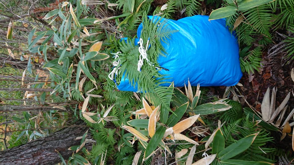 収穫運搬用の青い袋はビニールシートで自作したものです-2018-11-10