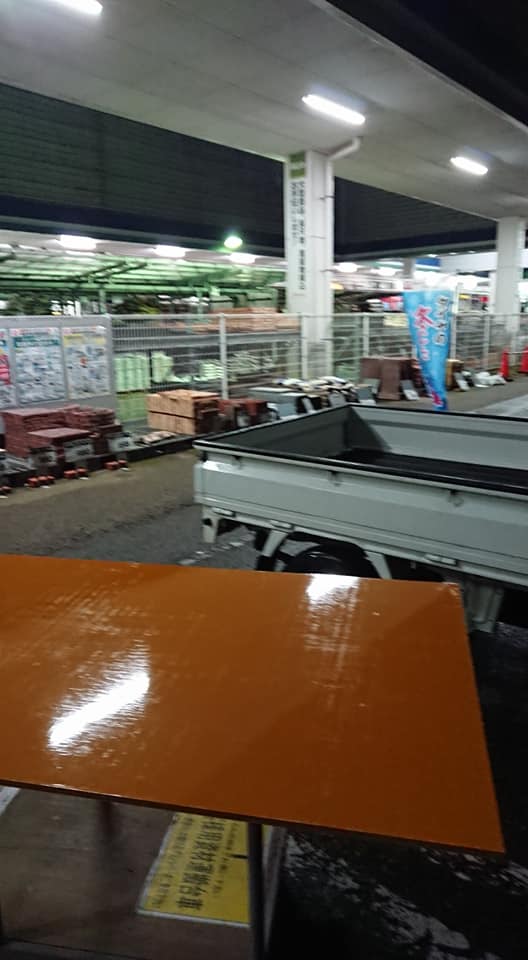 昨日雨だったのでウラジロを届けに行きました-2018-11-10