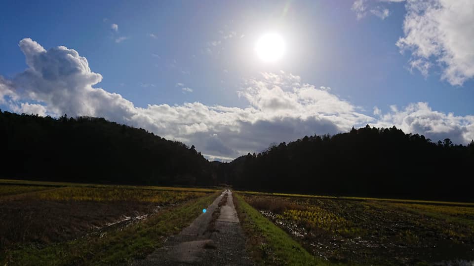 昨日はウラジロ3000枚七尾市まで届けてから最初に行った山に一人で入りました-2018-12-11
