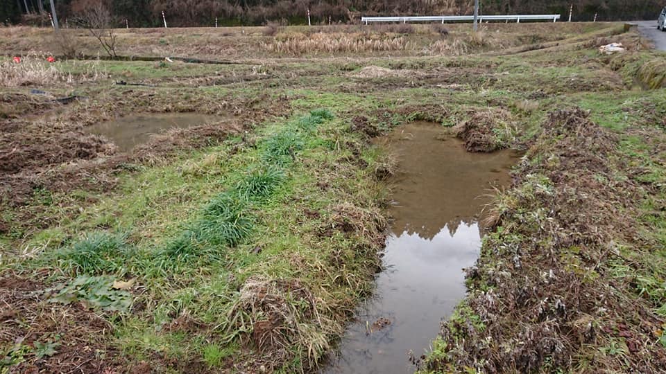 一番最初に借りた田んぼです-2019-01-22