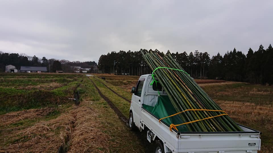 竹を倉庫に並べて針金で固定して、ススキ(かや)を立てていく作業で1日終わりました-2019-02-11