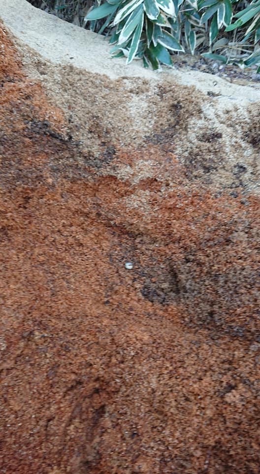 もみがらを袋に60袋詰めていました-2019-03-28