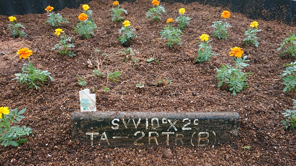 甲(かぶと)駅のホームの花だんの整備です-2019-03-30