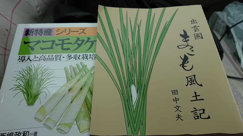出雲大社まで移動中です。宍道湖（しんじこ）まで到着-2019-05-31