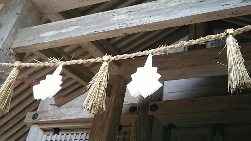 出雲大社周辺で自生しているマコモを見つけることが、今回はできませんでした2019-06-01