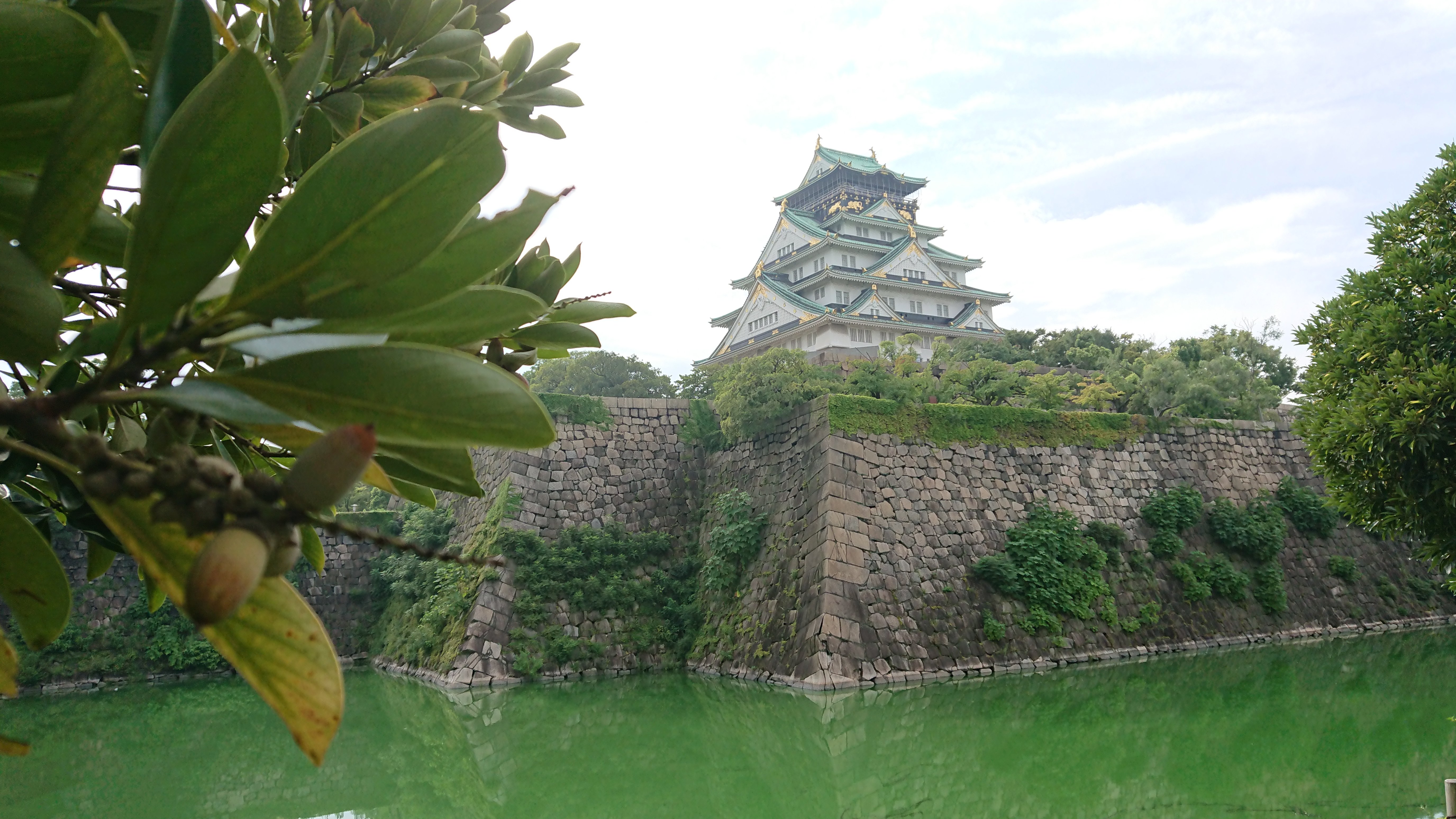 大阪城に寄りました-2019-08-29