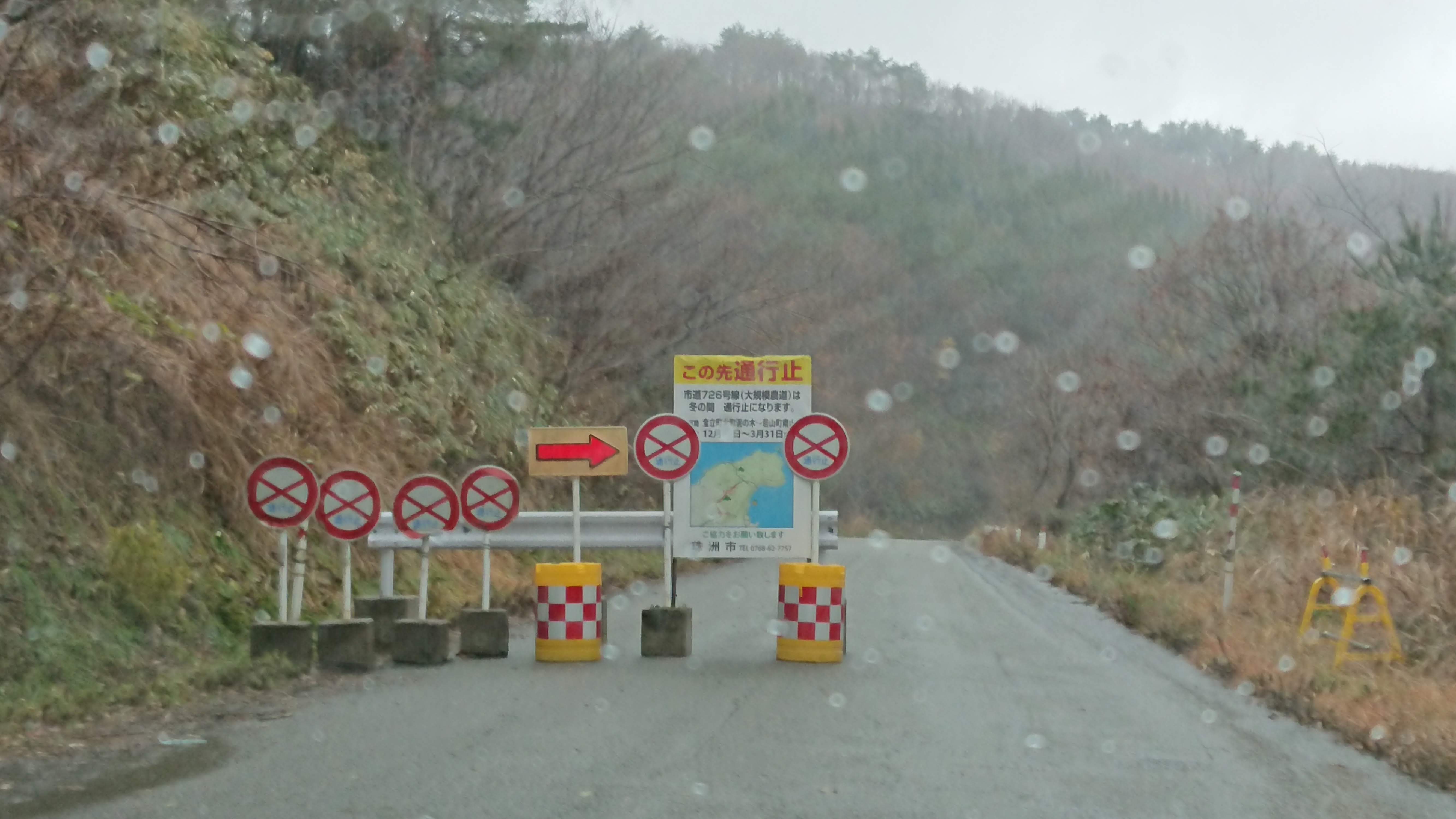 雨が止んでからユズリハを１０００枚ほど採取です-2019-12-14