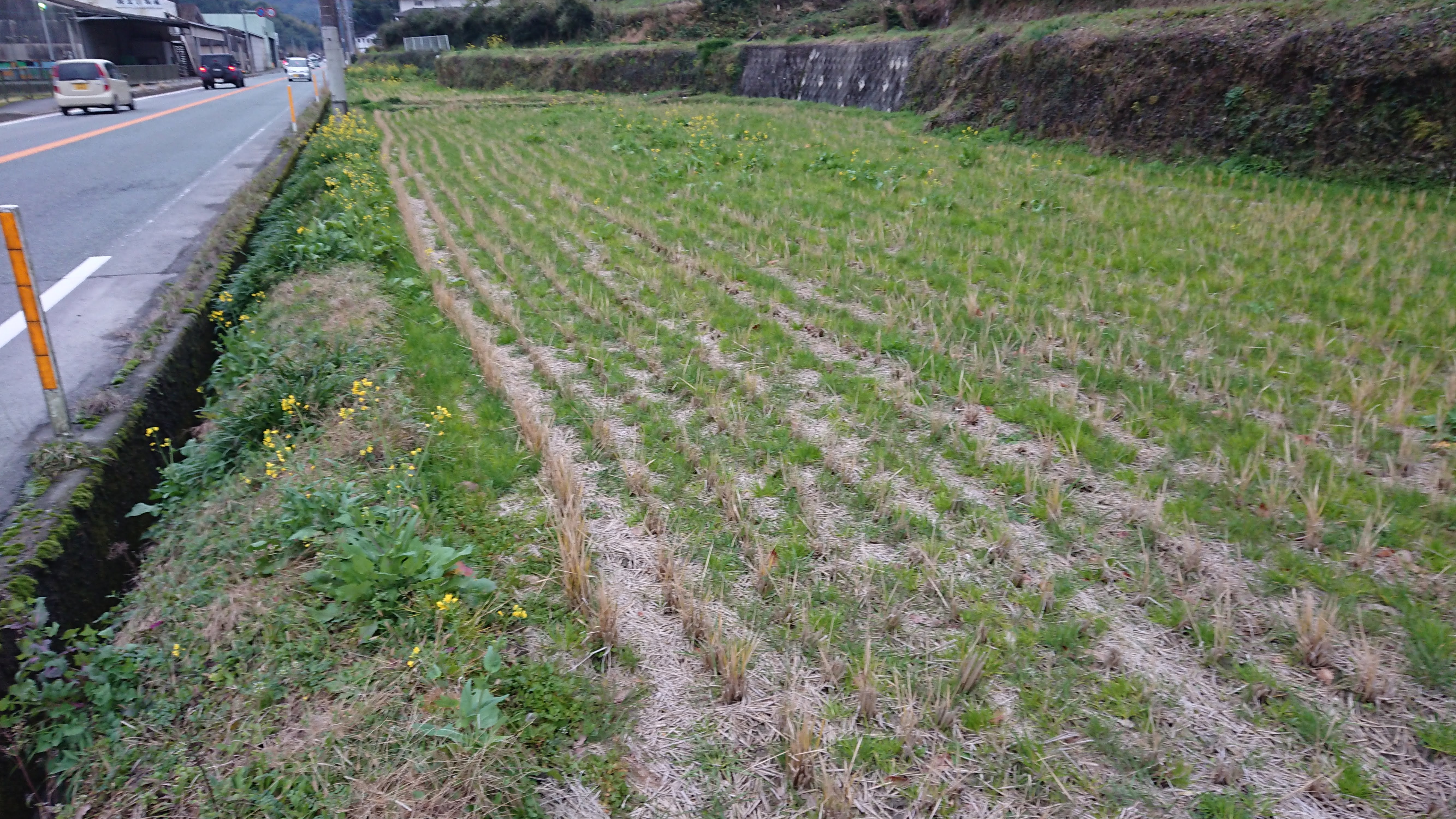 福岡県の道の駅香春(かわら)まで戻りました-2020-01-26