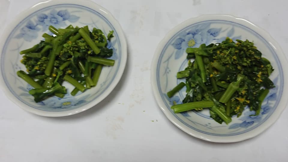 家でもアスパラ菜のおひたしを作ってみた-2020-02-01