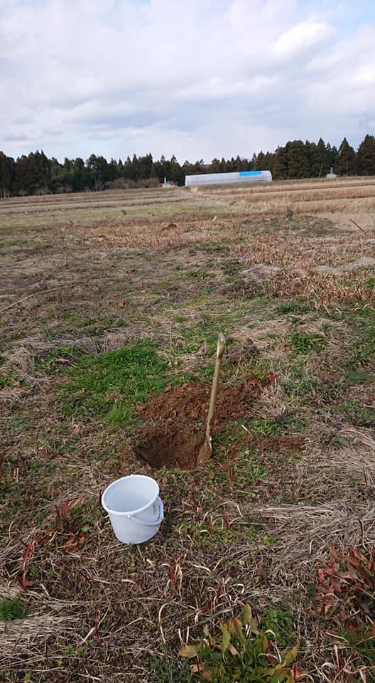 雪になる前に土壌分析用の土のサンプルを2ヵ所で取りました-2020-02-06