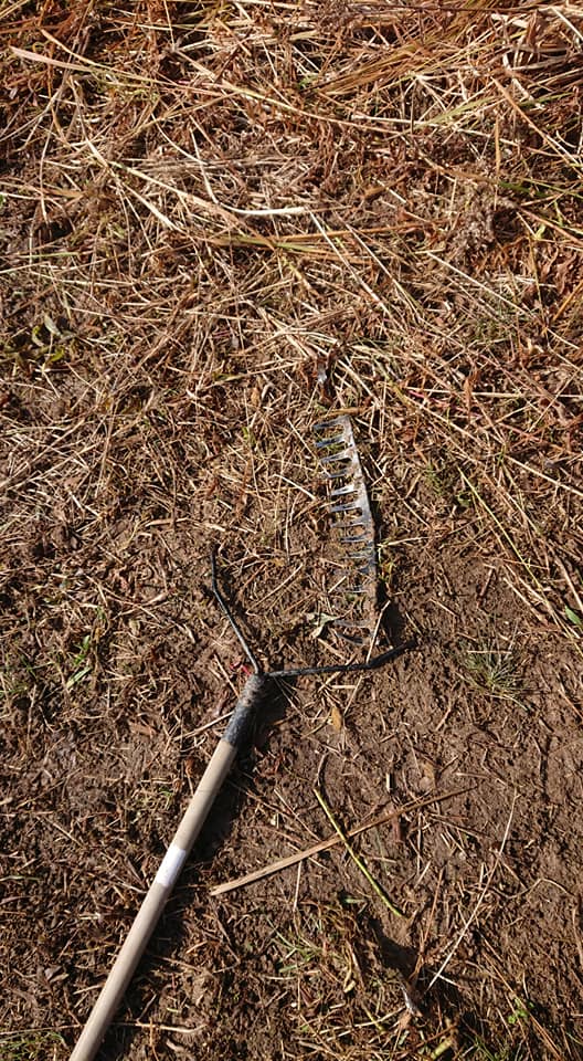 午前中は、別の場所で草集めしてましたが、レーキが壊れました-2020-02-11
