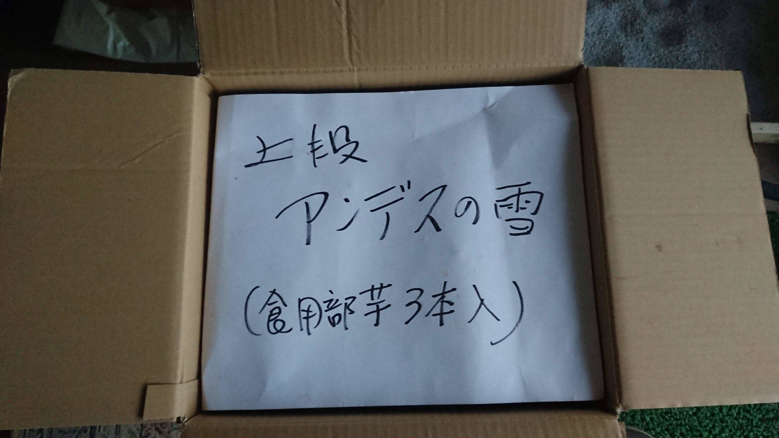 岐阜県のヤーコンおやじさんから、種イモが届きました-2020-03-23