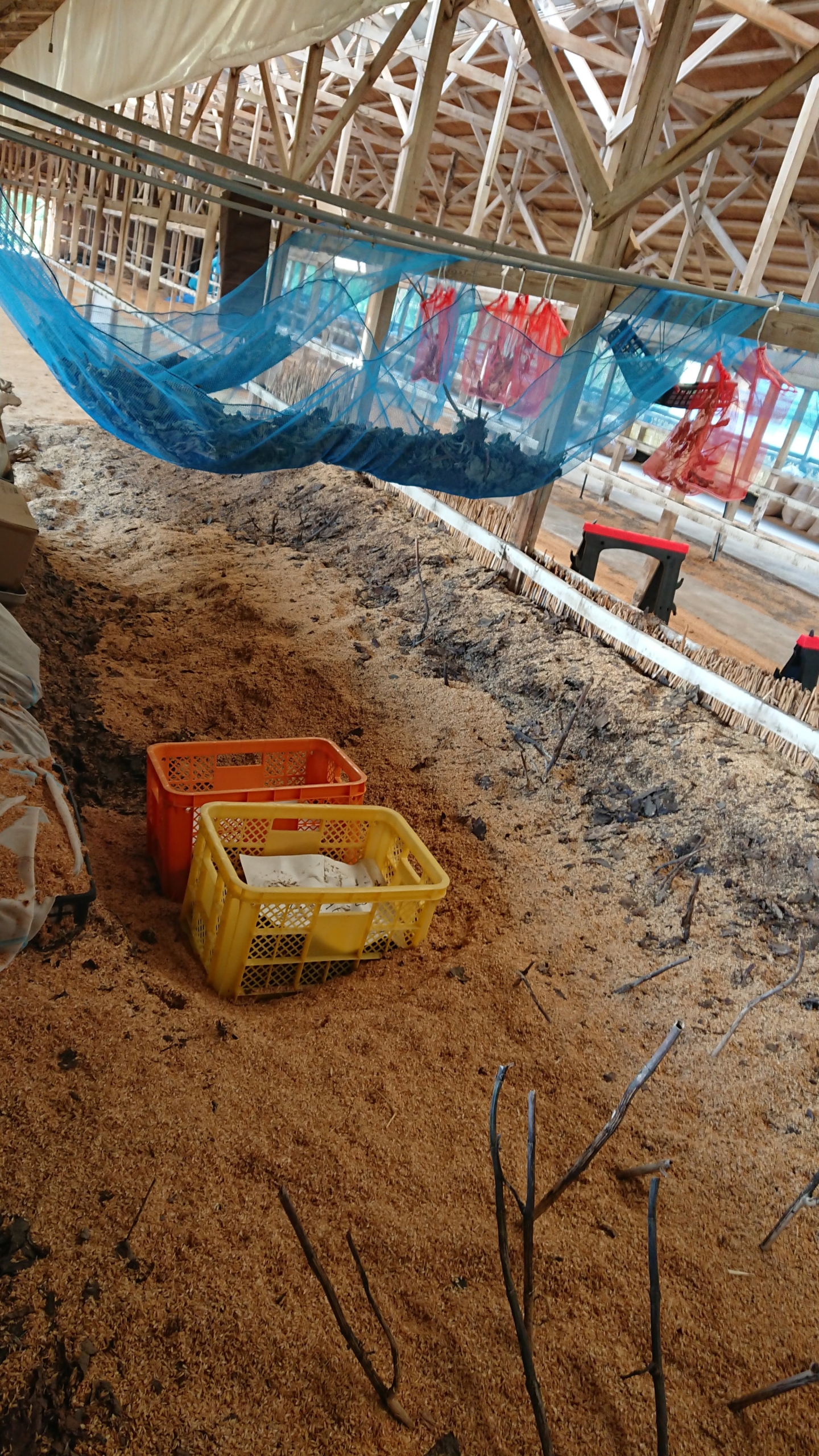 駅については今回の3年契約が終わったら更新しないつもりでいます-2020-03-25