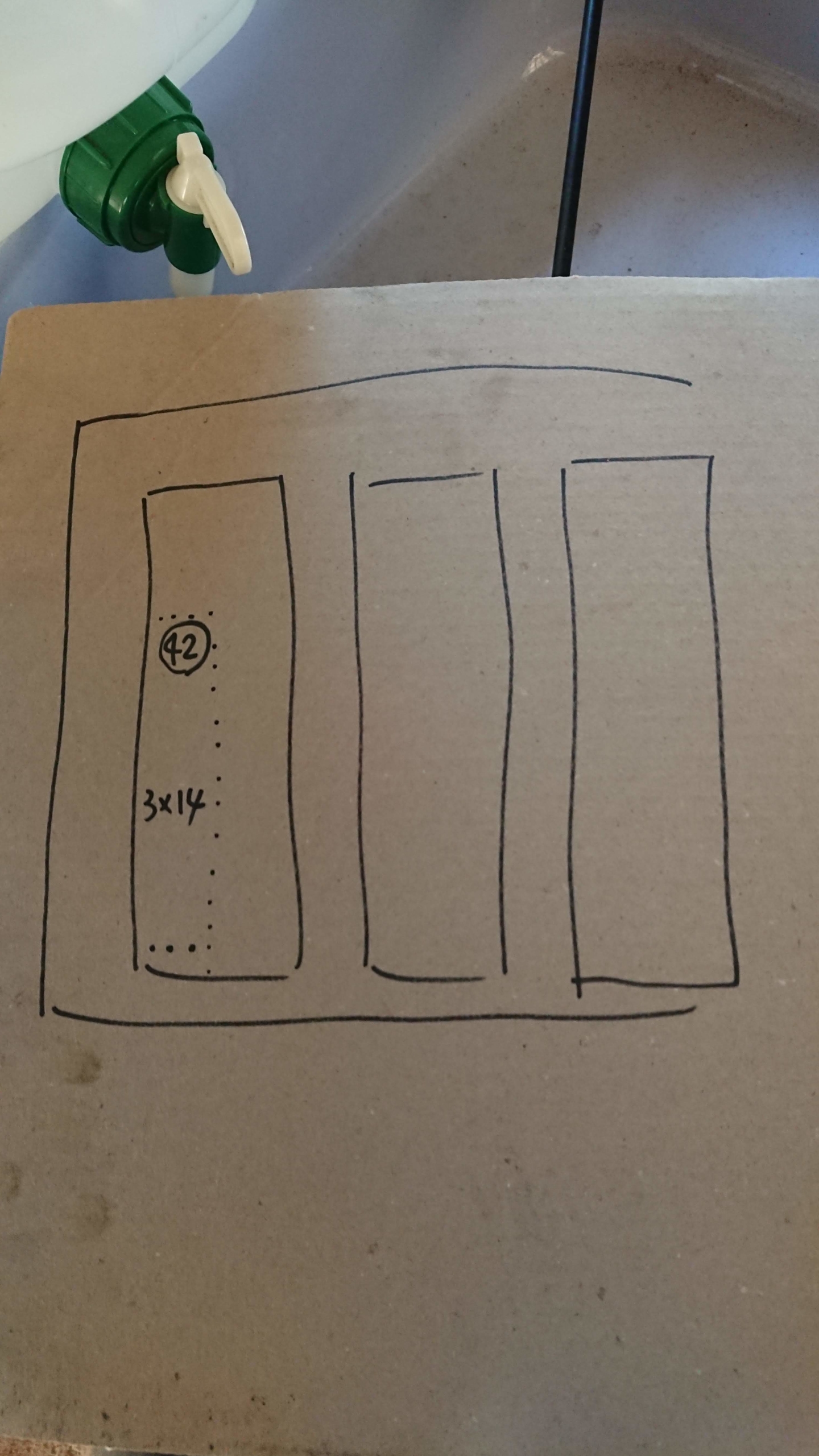 これは自家採取したヤーコンの種いもです-2020-05-14