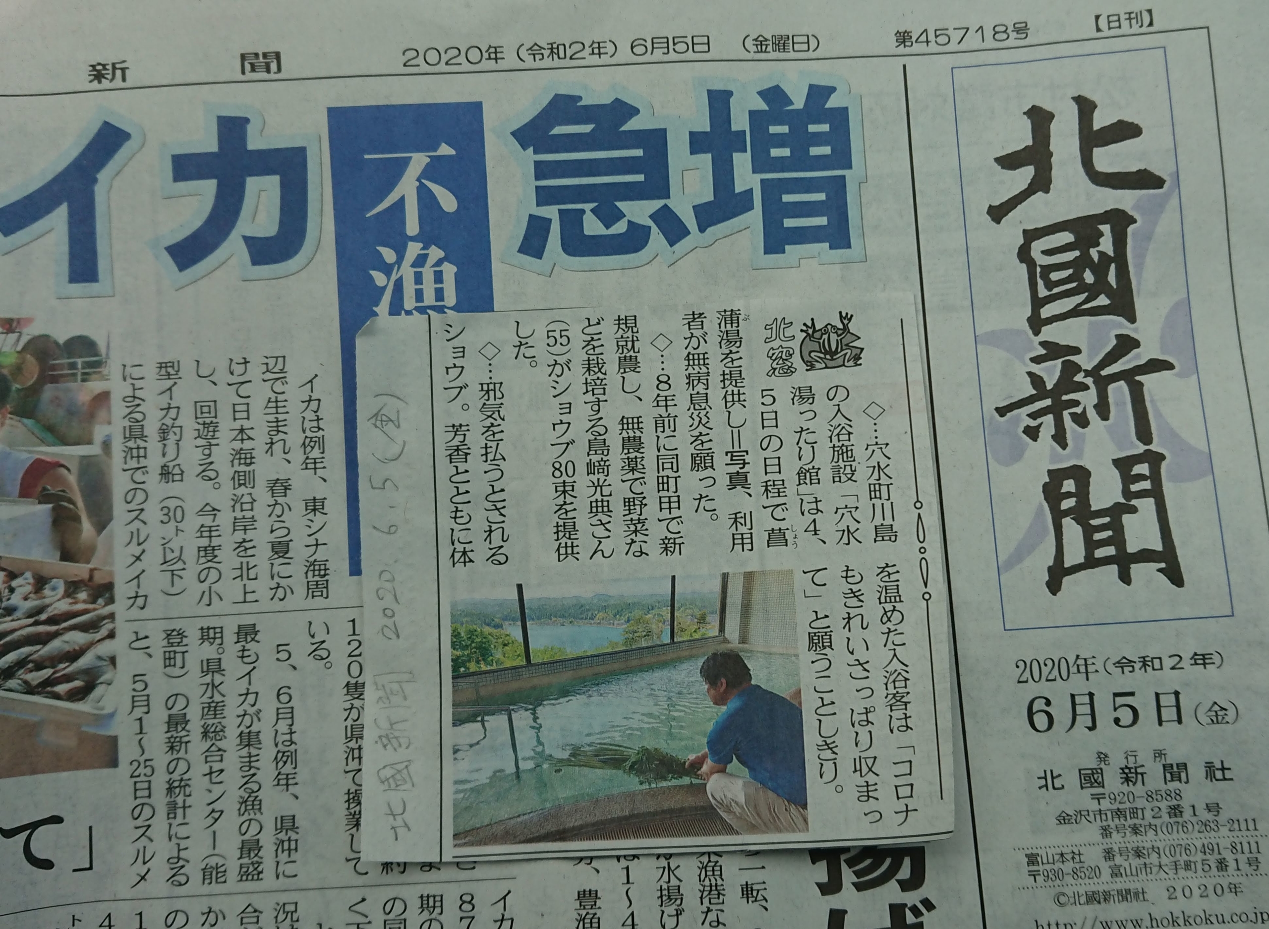 無農薬という表現は厳密にいうと使えません-2020-06-10