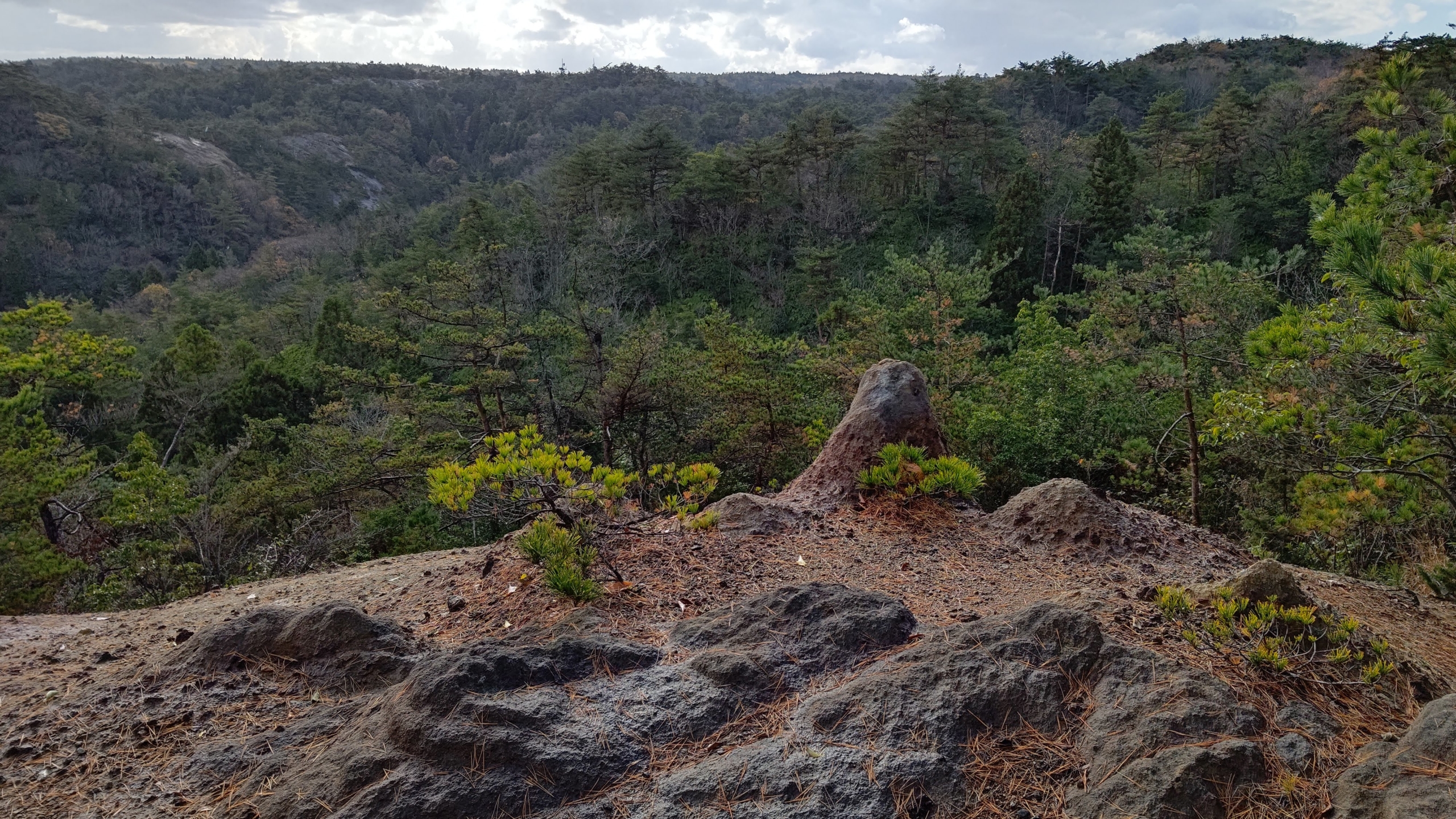 昨日と同じ場所です-2020-11-28