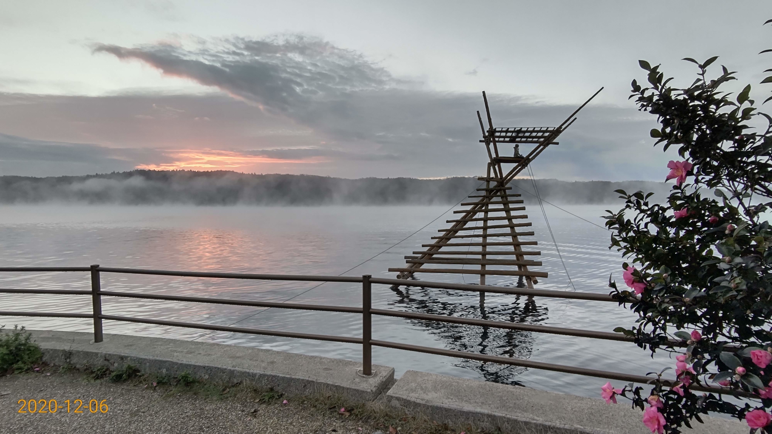 今日は寒い朝です-2020-12-06