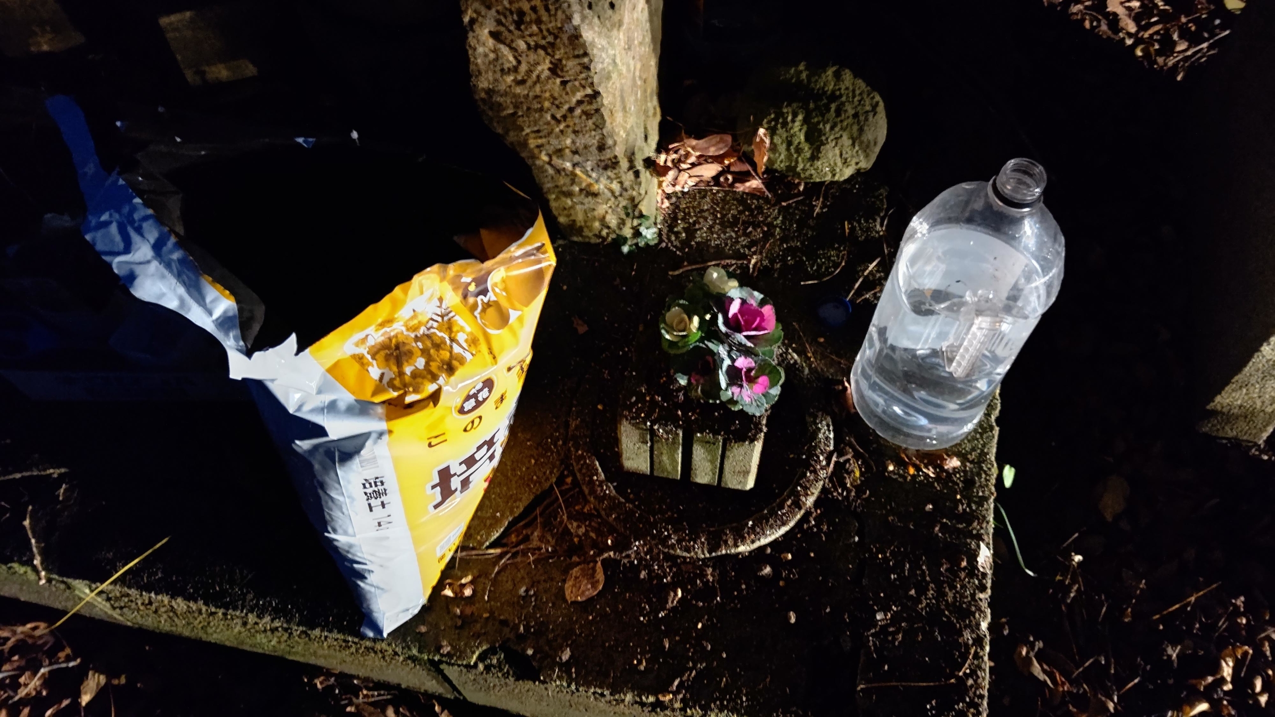 甲（かぶと）駅のお地蔵さんの花をスプレー葉ボタンで飾ってみた-2020-12-07