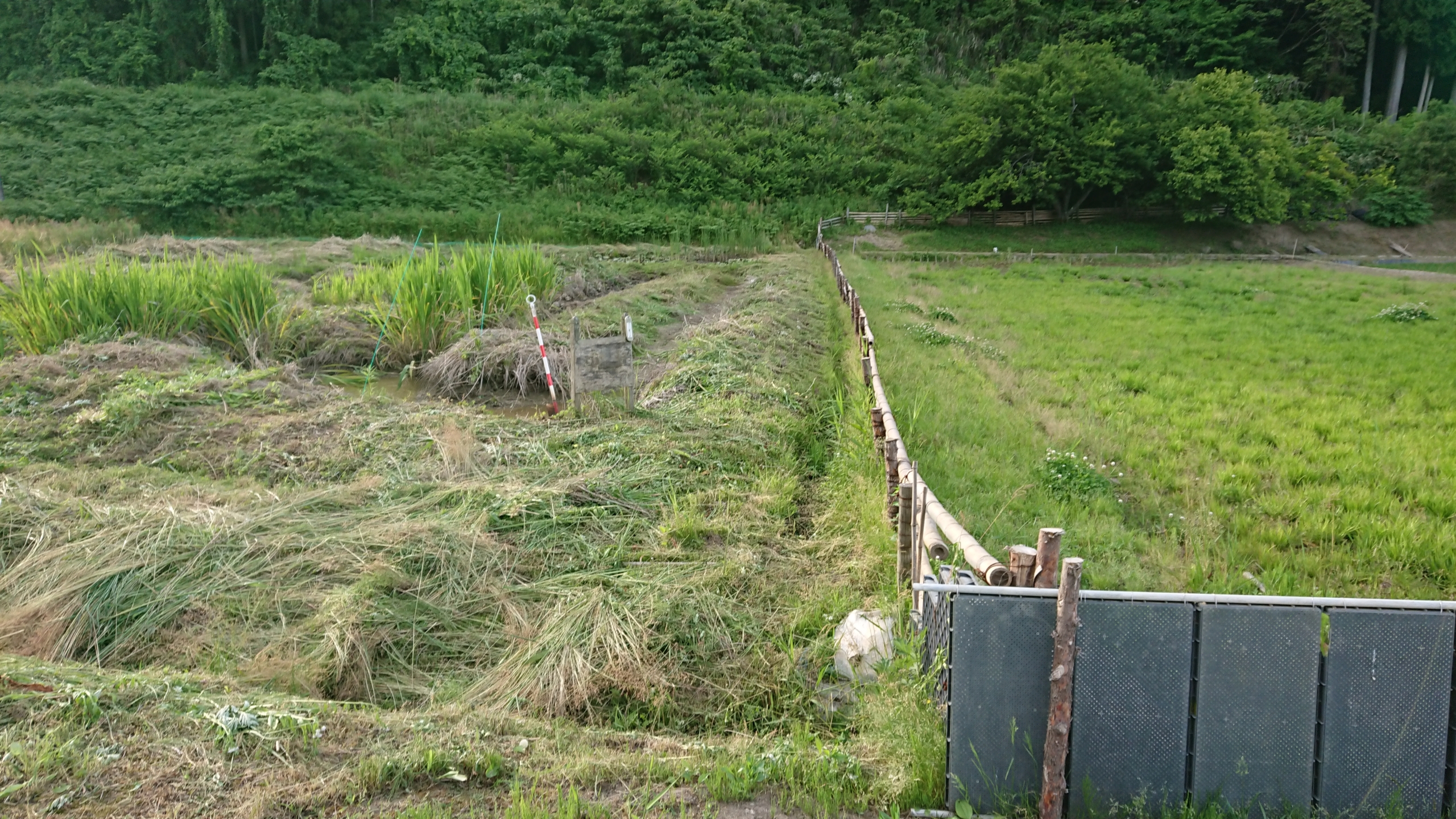 コロナ騒動が静かになる気配がないので、今年はじっとしてる-2021-03-03