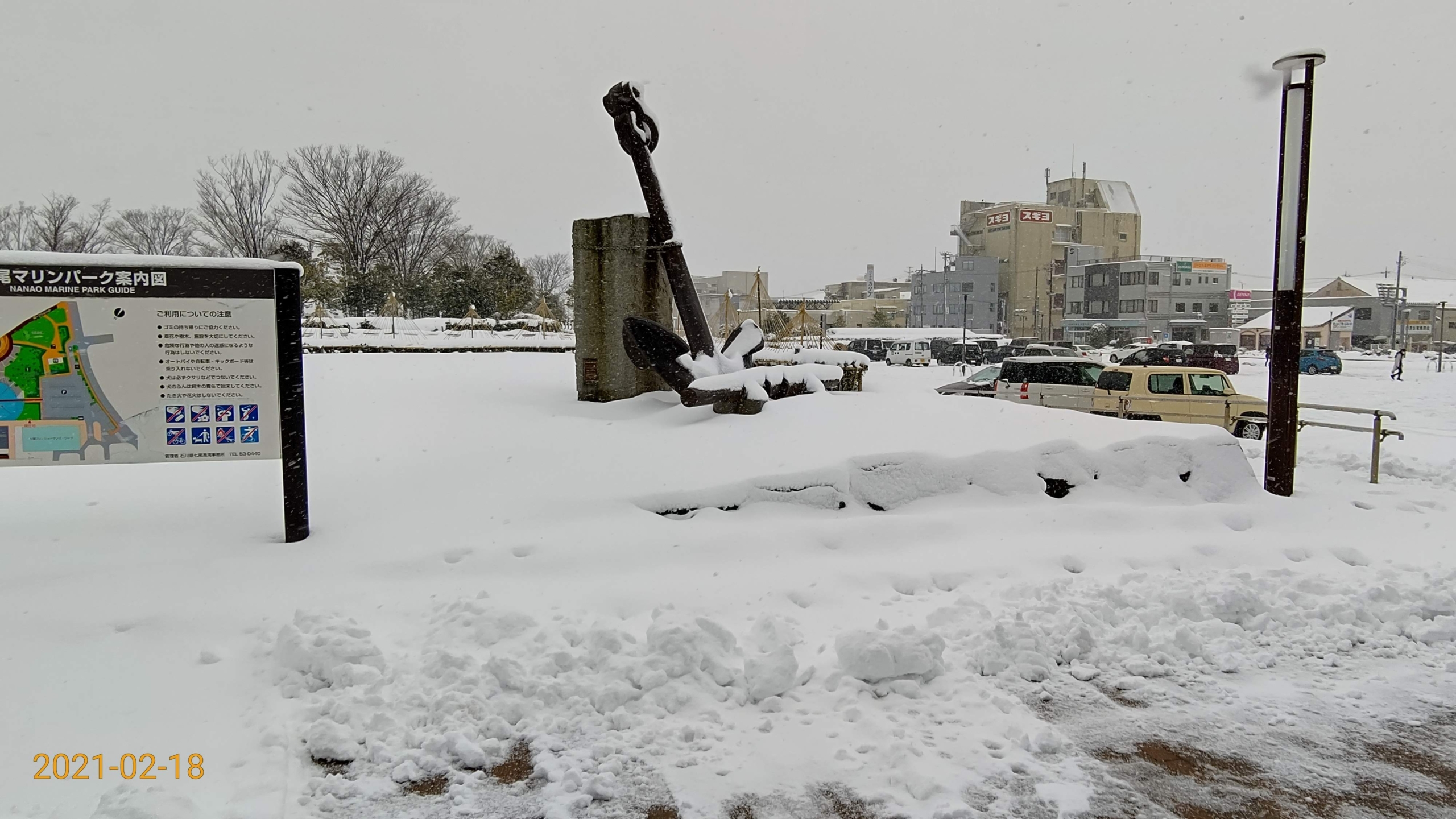 ついこの前まで、暖かくて梅の花が咲いていました。今は雪の中です-2021-02-18