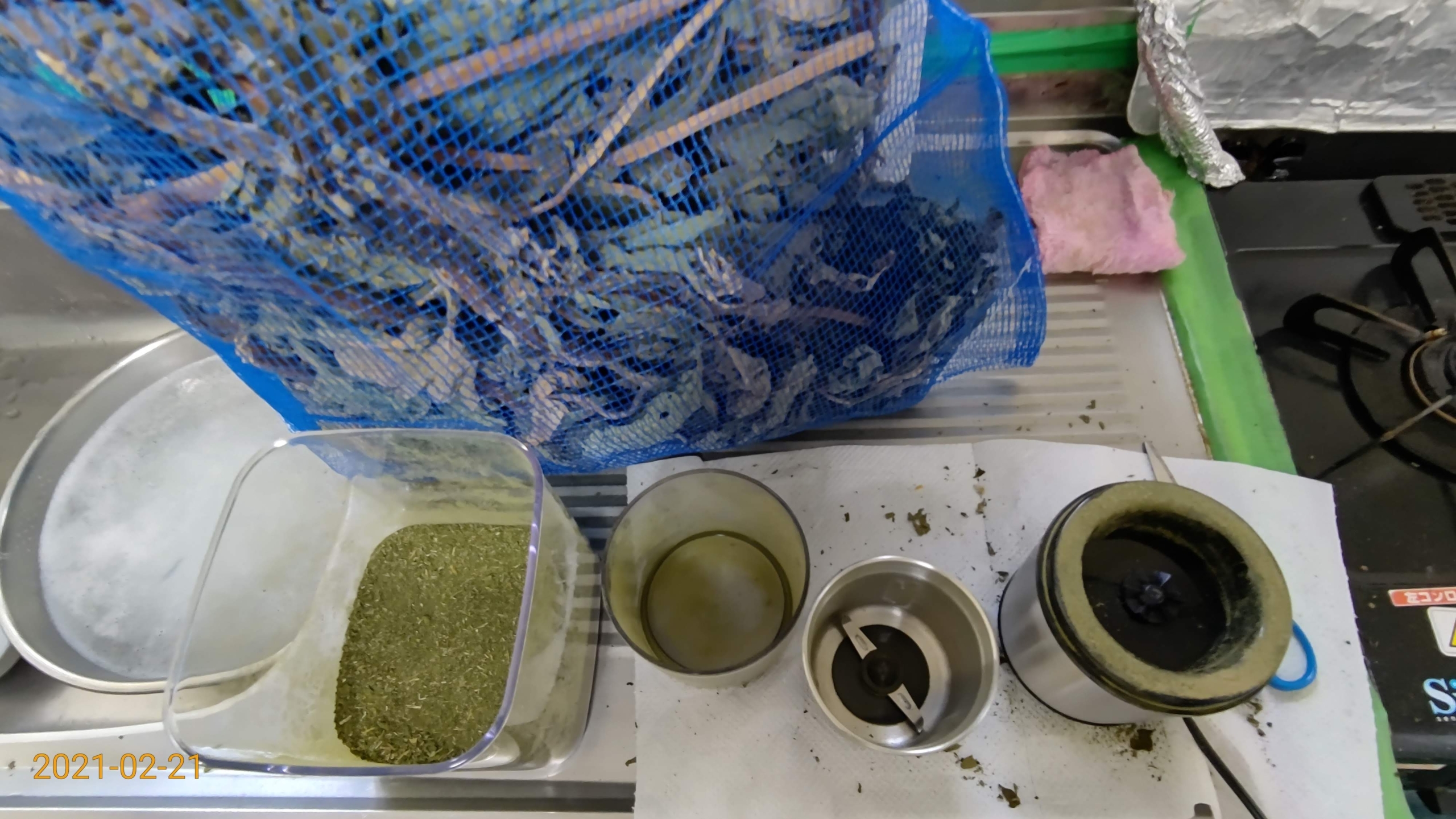 ヤーコンの葉っぱと茎です。これからお茶を作ります-2021-02-21