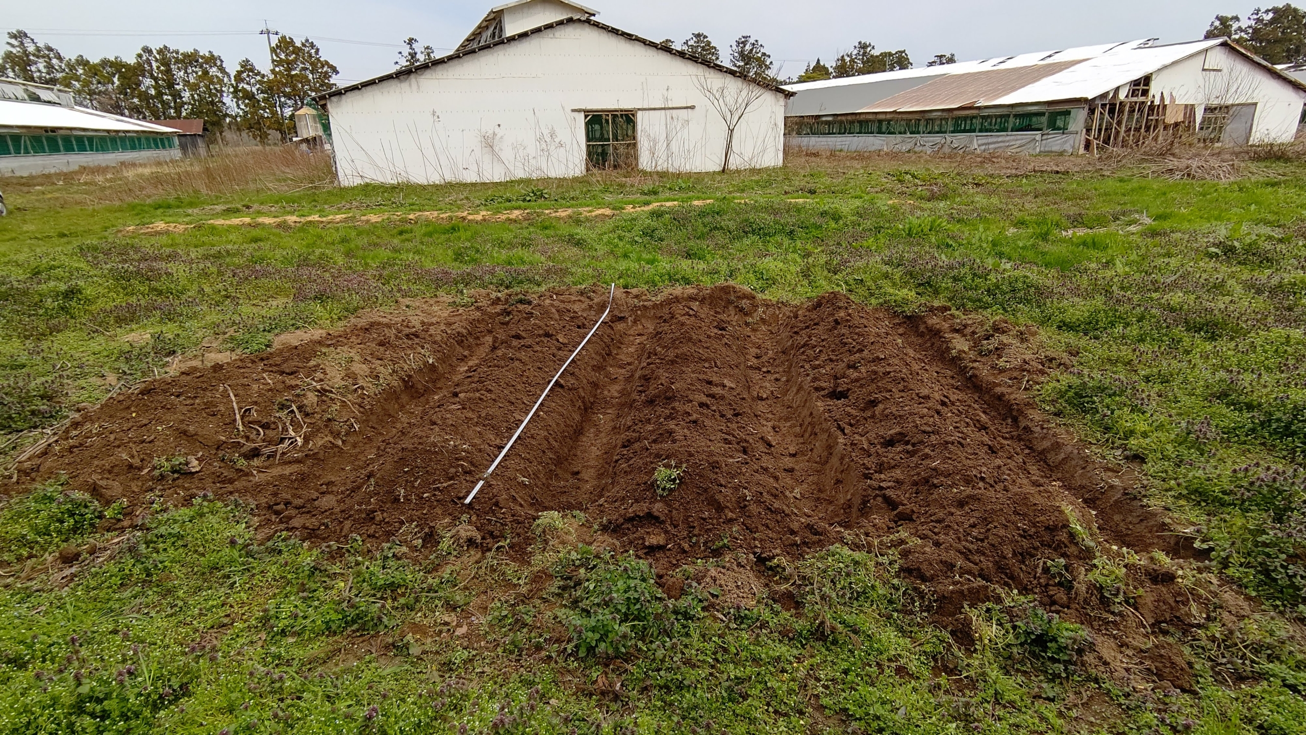 ヤーコンの苗床用のうねは剣スコップと備中クワで高うねで３本作りました-2021-03-27