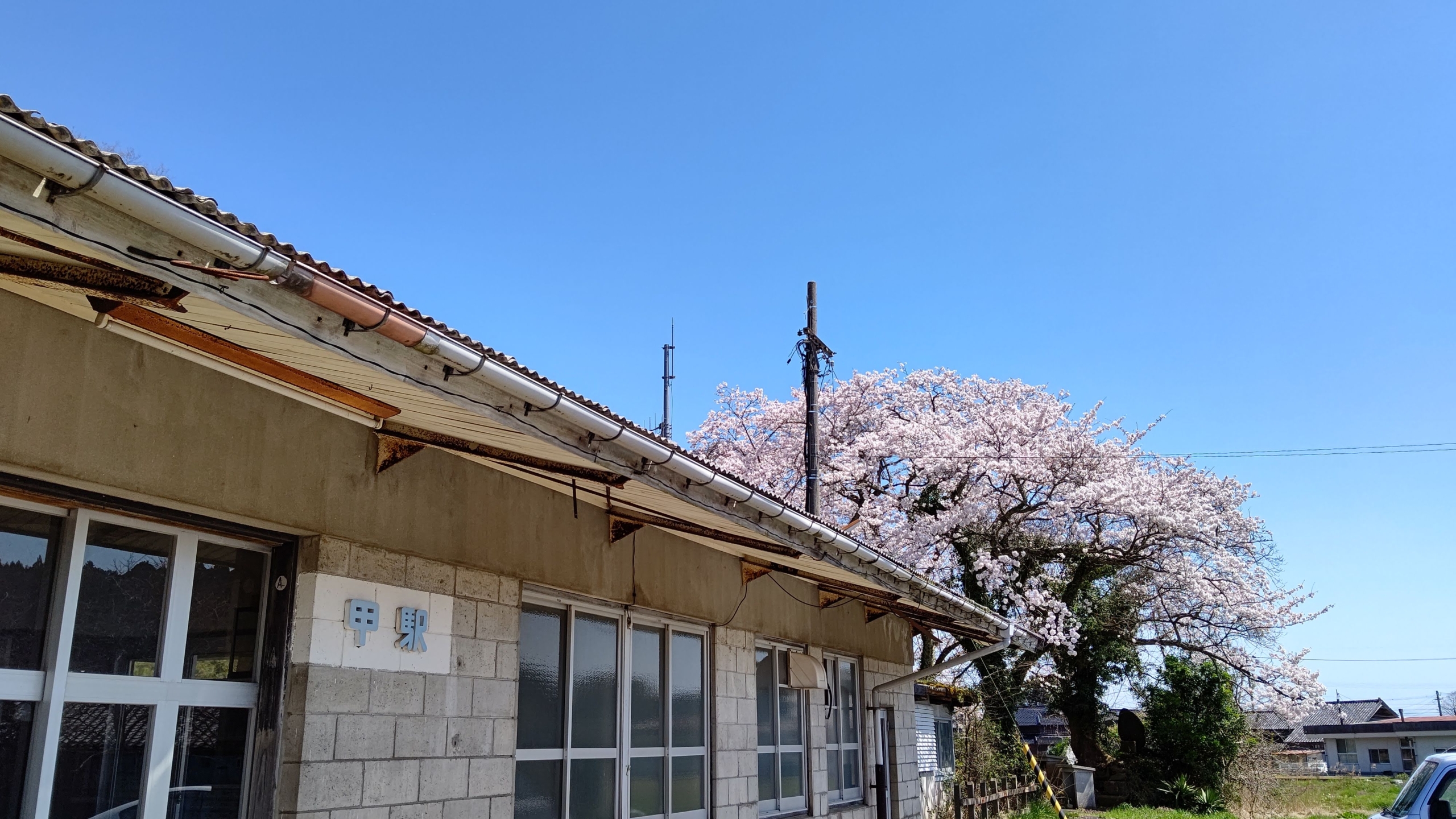 2005年に廃線になった「のと鉄道」の甲(かぶと)駅の桜です-2021-04-05