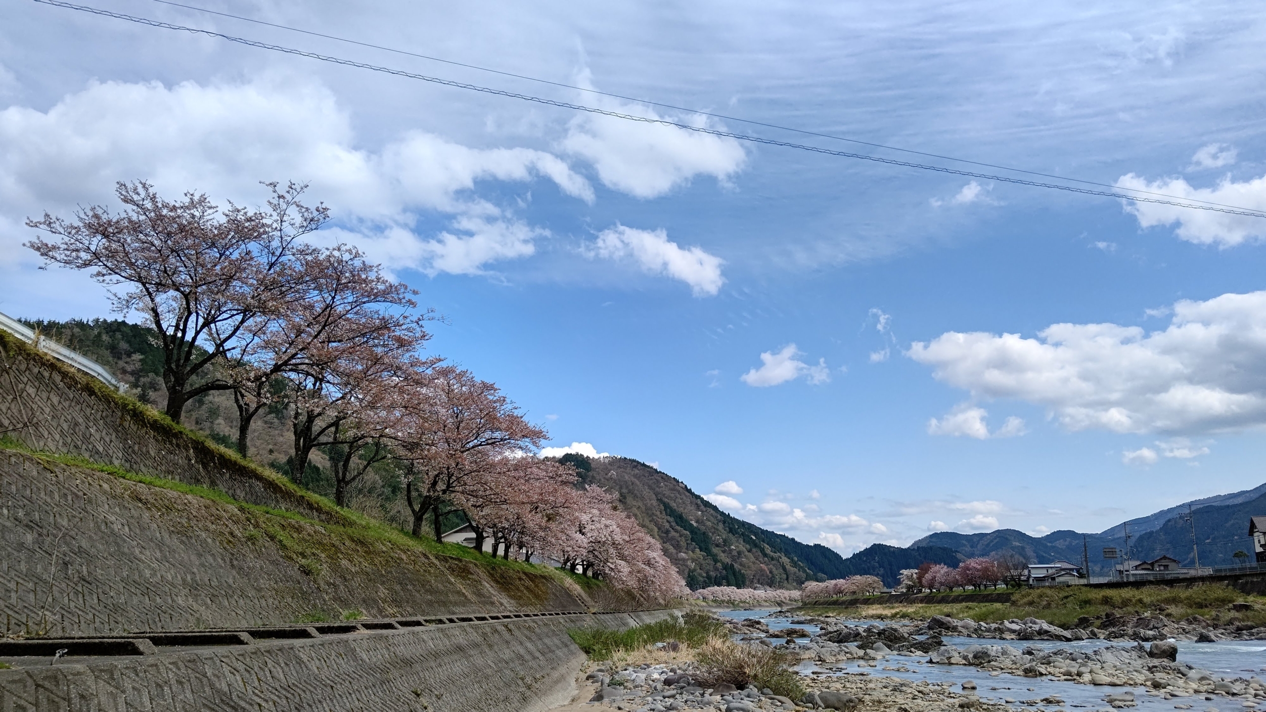 「ヤーコンおやじ」こと三宅薬品さんにお伺いしていました-2021-04-06