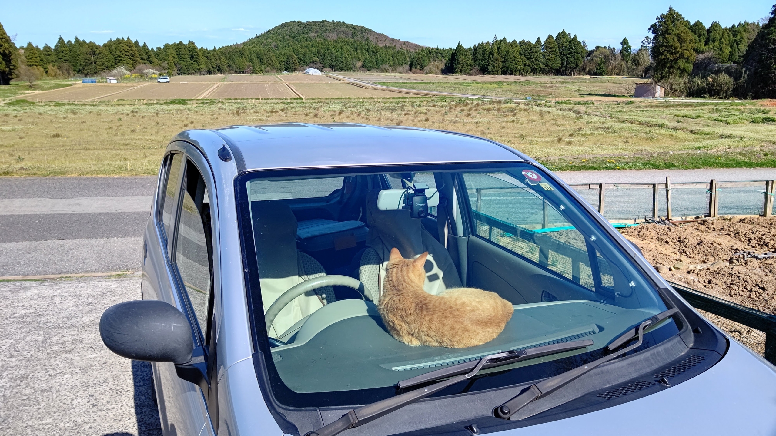 自宅にもどる途中で北海道ワインの農場に立ち寄りました-2021-04-07