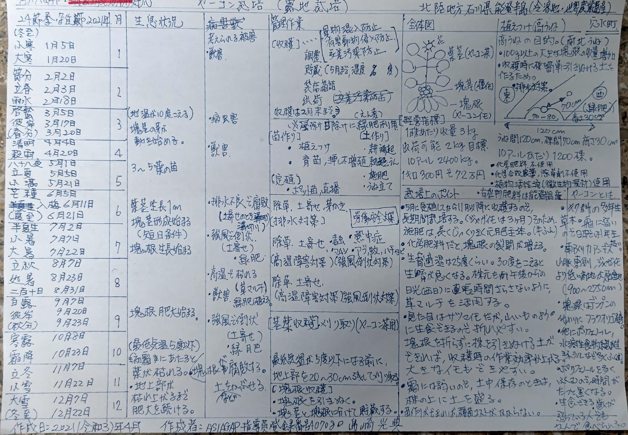 ヤーコンを栽培するときのポイントをまとめていました-2021-04-14