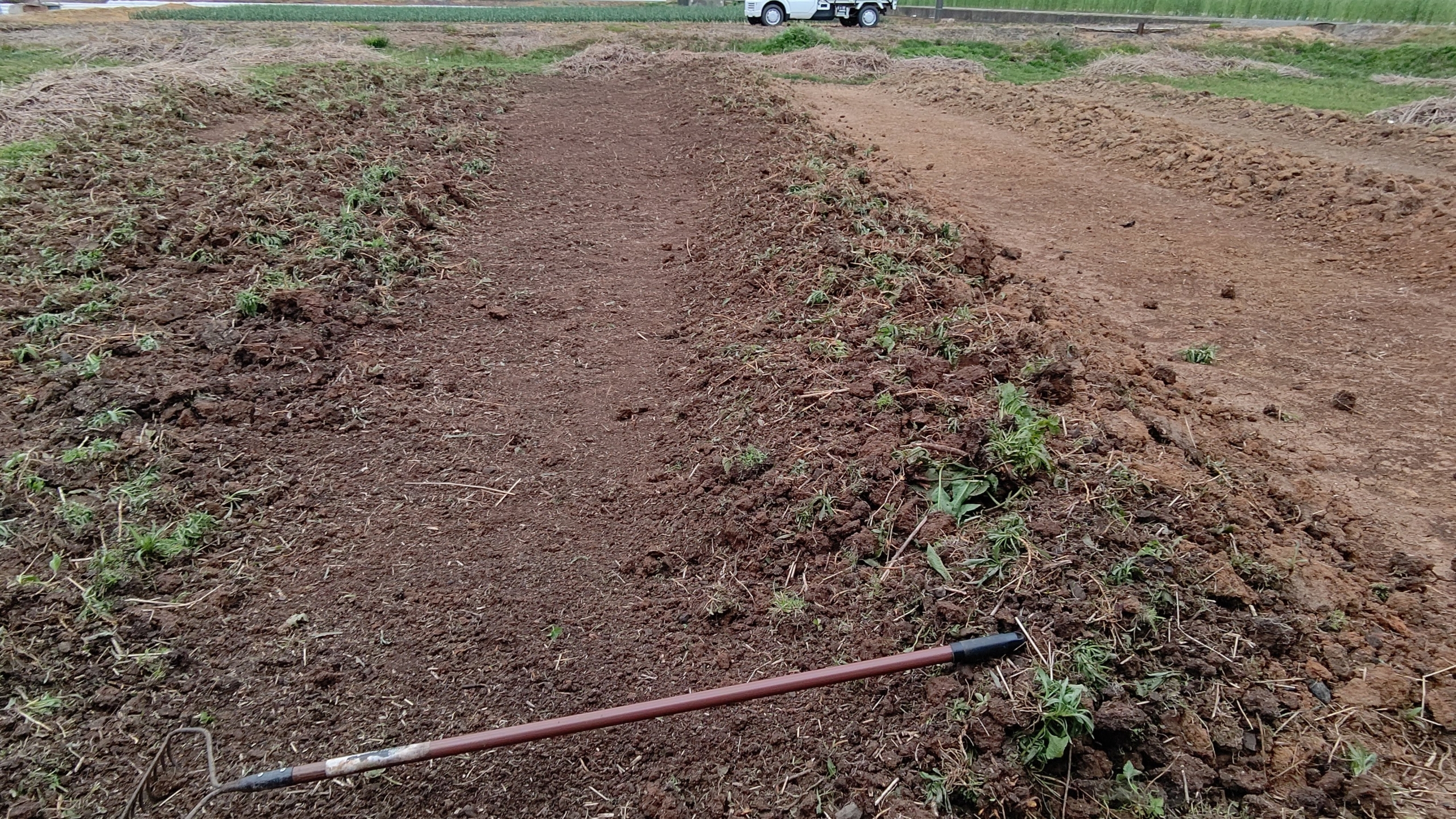 前日からセイタカアワダチソウの根っこを取る作業してる-2021-04-28